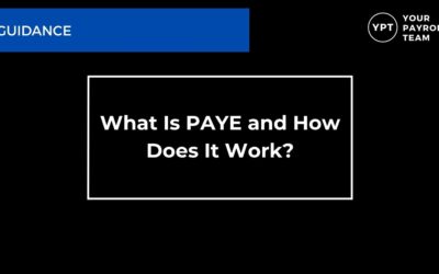 What Is PAYE and How Does It Work? (Employer Guide)